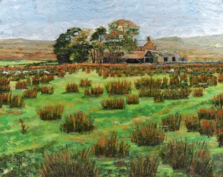 Bauernhof, Cumbria, 2008